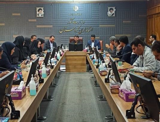 Free trade, special economic zones account for 70% of Iran’s transit